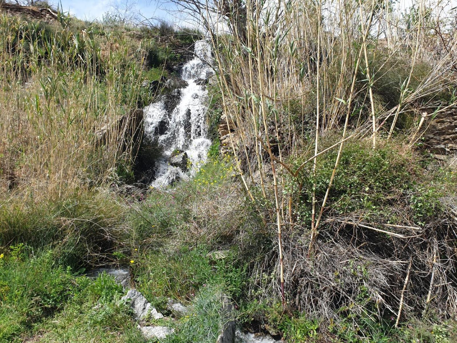Casa Rural Serrano Abrucena Eksteriør billede